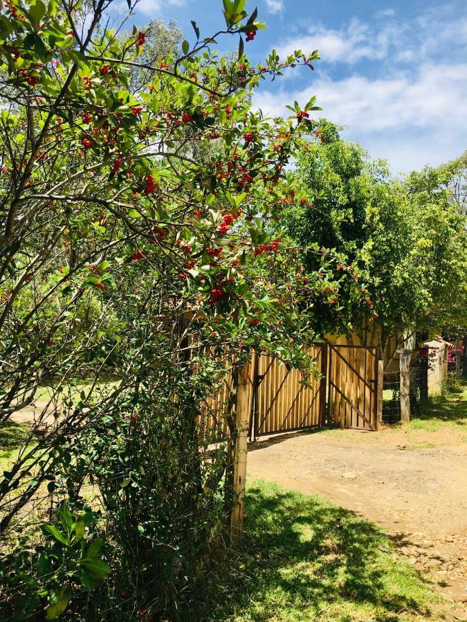 Clavellino House En Villa De Leyva - Tranquilidad Y Naturaleza En Reserva Natural Urbana! Экстерьер фото