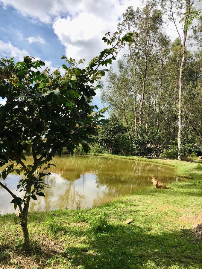 Clavellino House En Villa De Leyva - Tranquilidad Y Naturaleza En Reserva Natural Urbana! Экстерьер фото