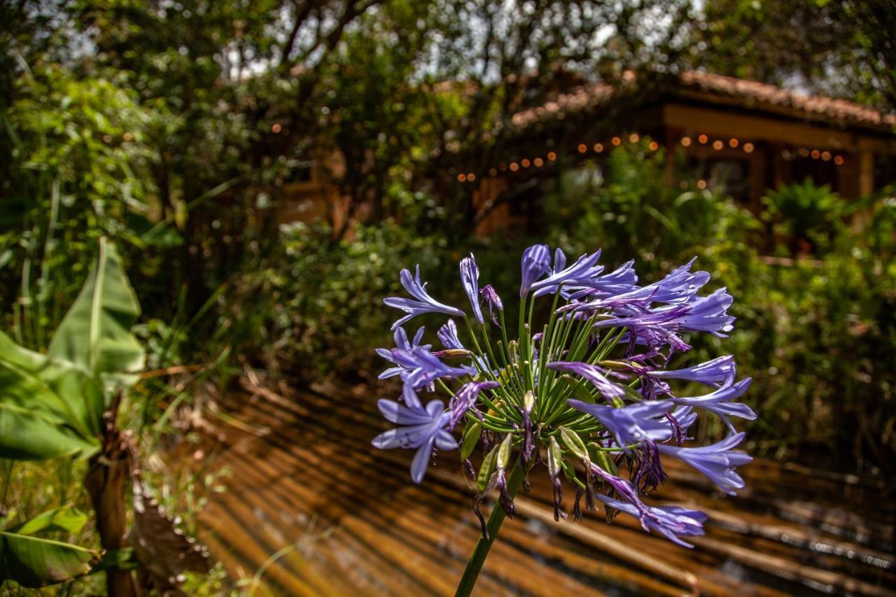 Clavellino House En Villa De Leyva - Tranquilidad Y Naturaleza En Reserva Natural Urbana! Экстерьер фото